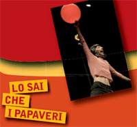 Lo sai che i papaveri - Porzione di Locandina
