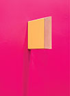Immagine copertina catalogo Sean Shanahan, Singular Episodic