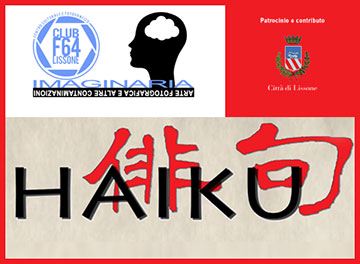 Comune di Lissone | Particolare locandina "Haiku" - serata fotografica