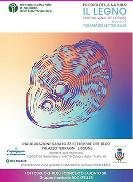 Comune di Lissone | miniatura locandina Prodigi della natura: il legno