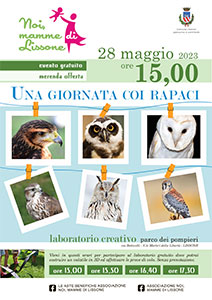 miniatura locandina Una giornata coi rapaci