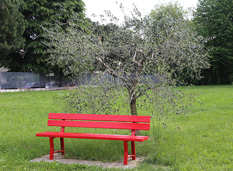 Lissone - Gallery - Una nuova panchina rossa al Liceo Parini
