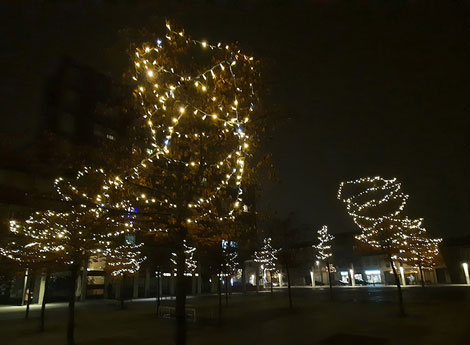 Immagine Piazza Libertà illuminata