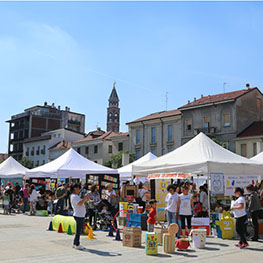 Scuole dell'Infanzia 
