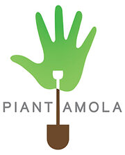 logo Piantiamola!