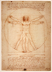 leonardo 500