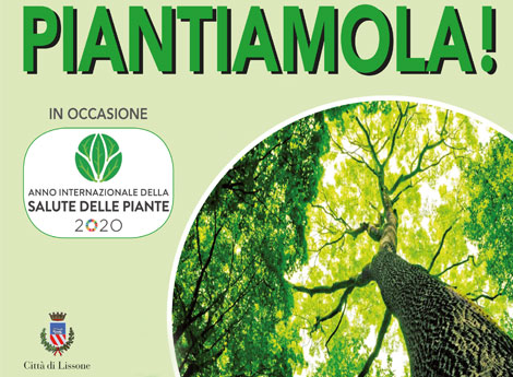 Frammento di locandina Piantiamola!
