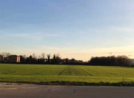 comune di Lissone -  immagine grande prato con case in lontananza