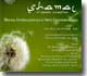 FRAMMENTO Locandina della mostra "Shamal"