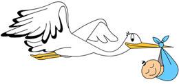 cicogna