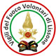 Logo Vigili del fuoco  volontaridistaccamento di Lissone