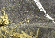 Immagine dettaglio opera "FuoriStrada"