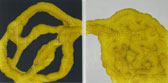 Immagine dell' Untitled, 2007 