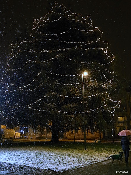 La neve a Lissone 2017