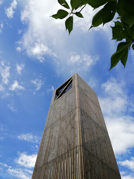 IL MUSEO VERTICALE