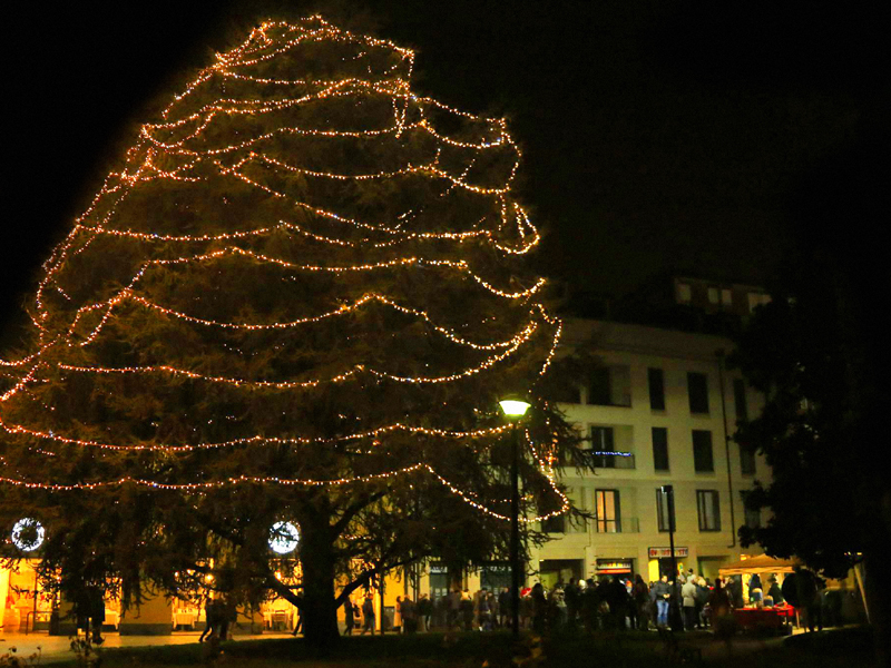 Illuminazione cedro via Paradiso
