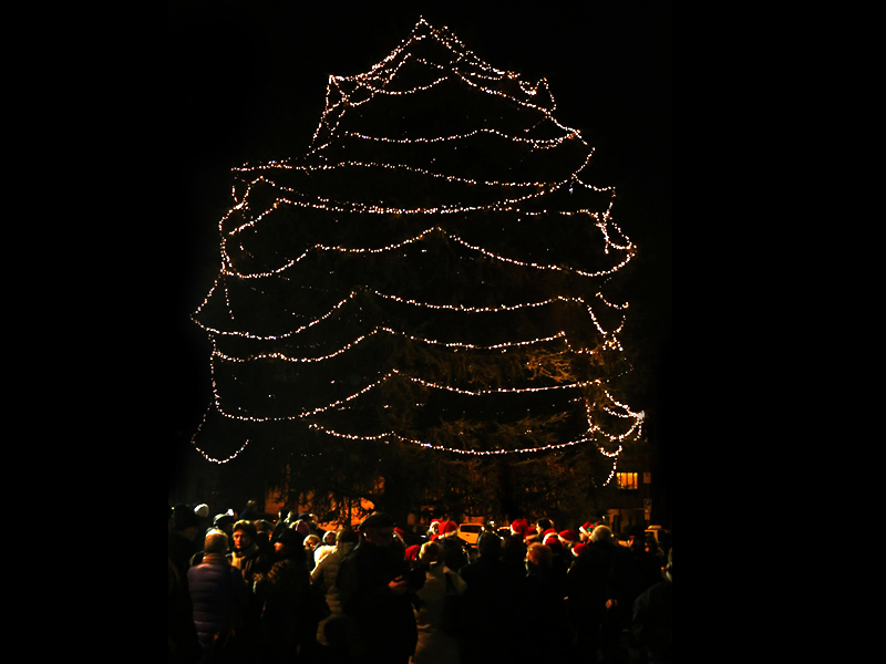 Illuminazione cedro di via paradiso