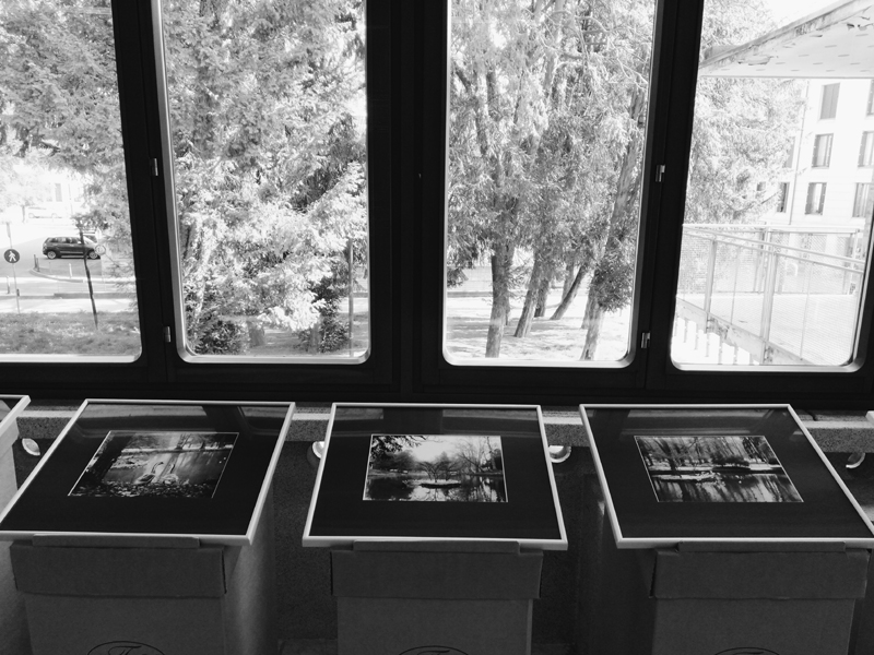 Fotografia contemporanea f64 2018