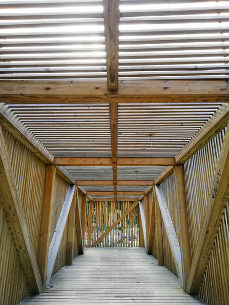 IL MUSEO VERTICALE