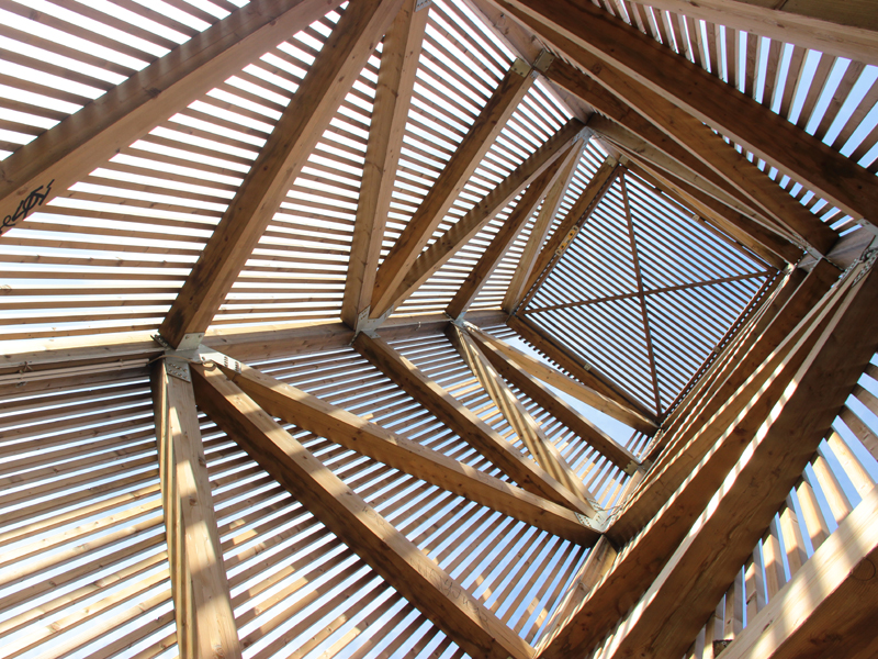 IL MUSEO VERTICALE