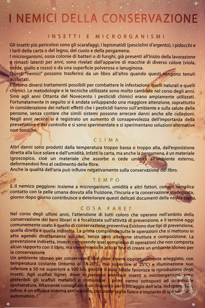  DAL PAPIRO ALLA DIGITALIZZAZIONE